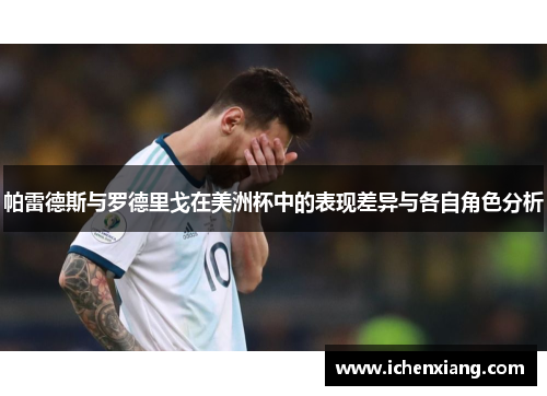 帕雷德斯与罗德里戈在美洲杯中的表现差异与各自角色分析