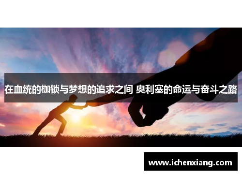 在血统的枷锁与梦想的追求之间 奥利塞的命运与奋斗之路
