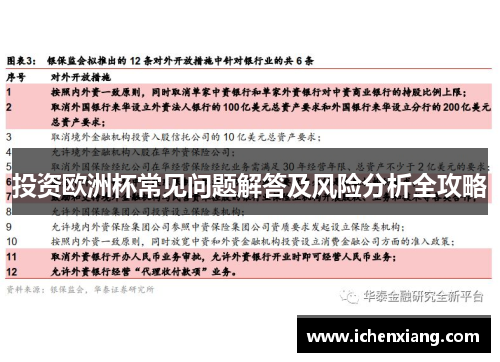 投资欧洲杯常见问题解答及风险分析全攻略