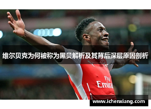 维尔贝克为何被称为黑贝解析及其背后深层原因剖析